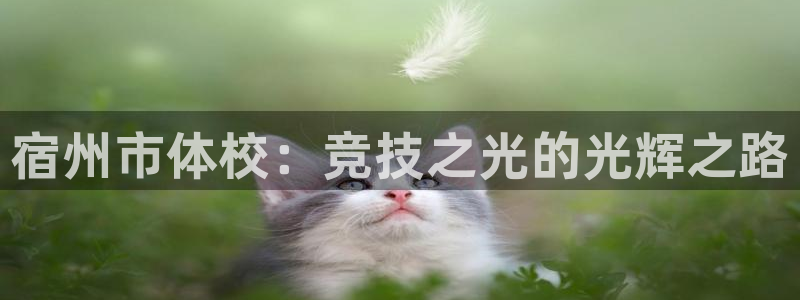 k1体育 十年品牌：宿州市体校：竞技之光的光辉之路