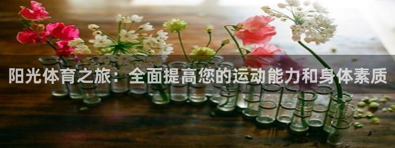 k1体育十年平台：阳光体育之旅：全面提高您的运动能力和身体素质
