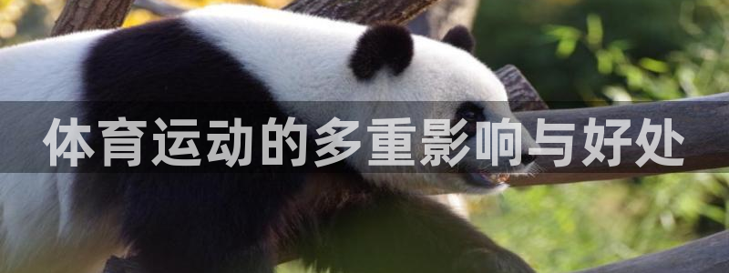 k1体育平台下载：体育运动的多重影响与好处