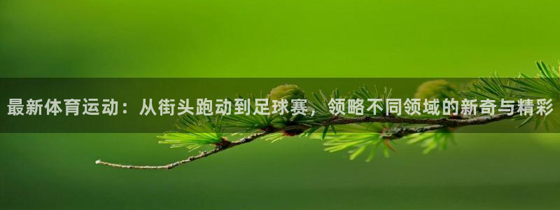 k1体育网址是多少：最新体育运动：从街头跑动到足球赛，领略不同领域的新奇与精彩