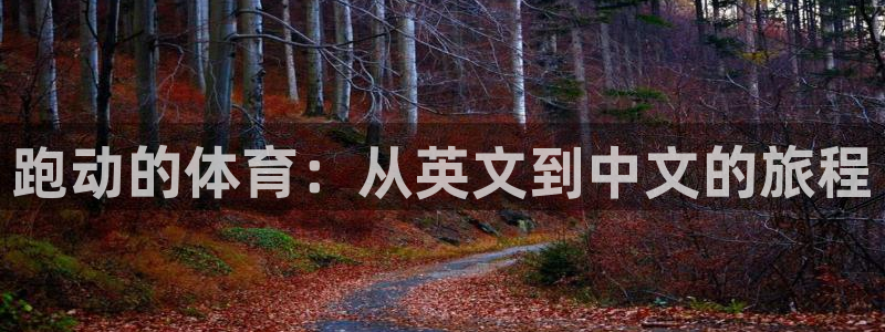 k1体育娱乐：跑动的体育：从英文到中文的旅程