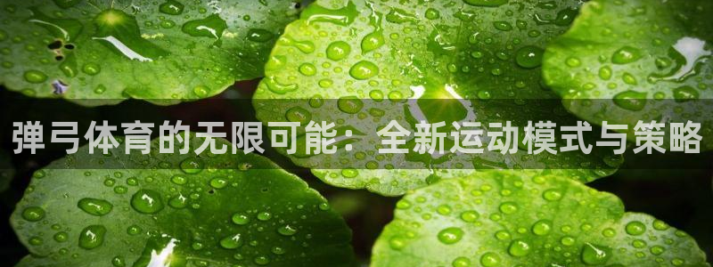 k1体育网站登录官网：弹弓体育的无限可能：全新运动模式与策略